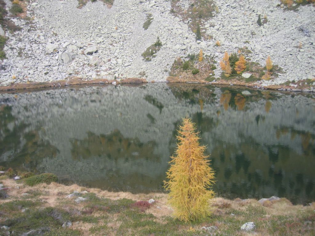 Laghi.......del TRENTINO